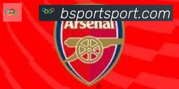 Bsports官网合作伙伴